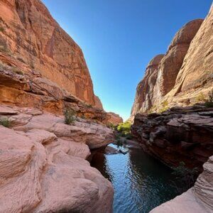 Meet your Posher, Sheila